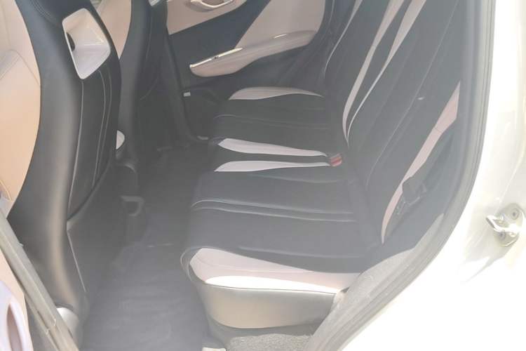 Used BYD Seagull 2023 Active Version Left Rear Seat
