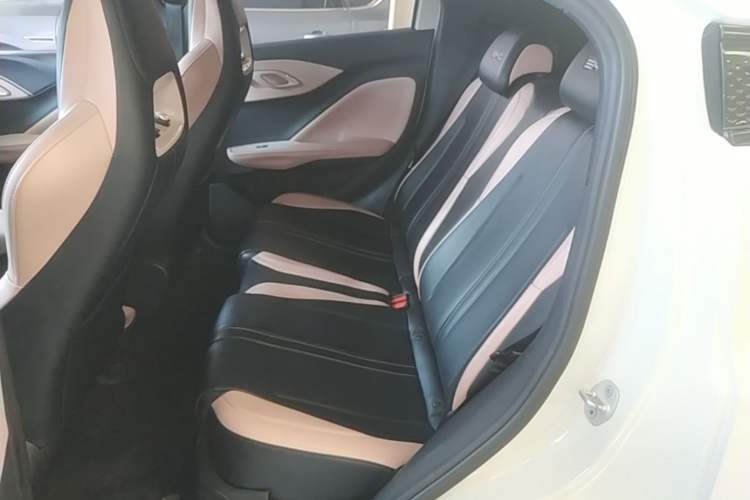 Used BYD Seagull 2023 Active Version Left Rear Seat
