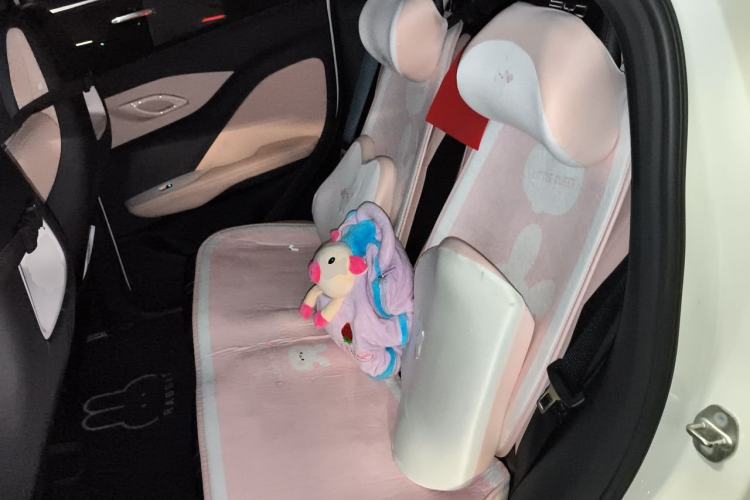 Used BYD Seagull 2023 Flying Edition Left Rear Seat