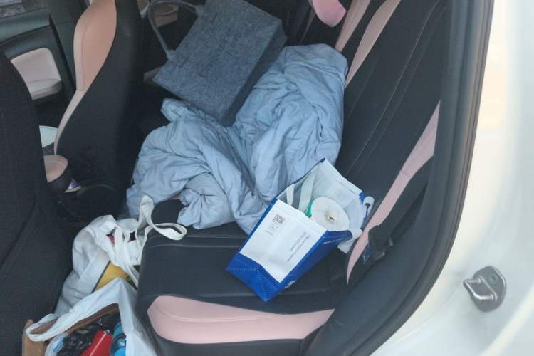 Used BYD Seagull 2023 Flying Edition Left Rear Seat