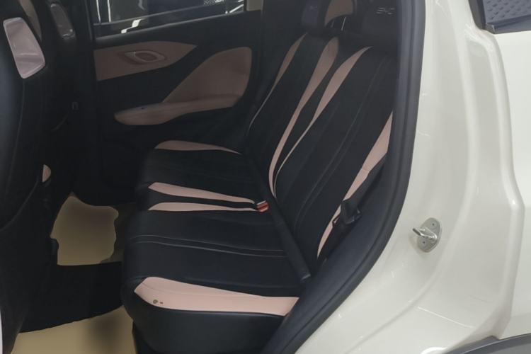 Used BYD Seagull 2023 Free Edition Left Rear Seat