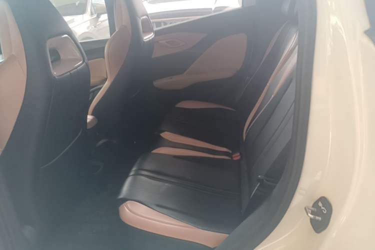 Used BYD Seagull 2023 Free Edition Left Rear Seat