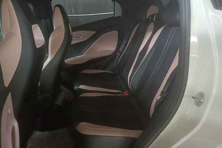 Used BYD Seagull 2023 Active Version Left Rear Seat