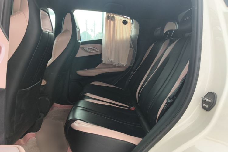 Used BYD Seagull 2023 Free Edition Left Rear Seat