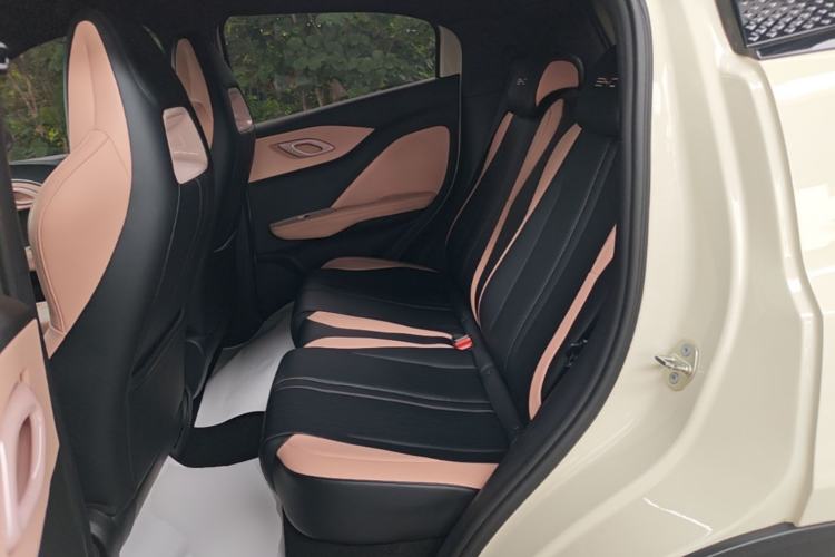 Used BYD Seagull 2023 Free Edition Left Rear Seat