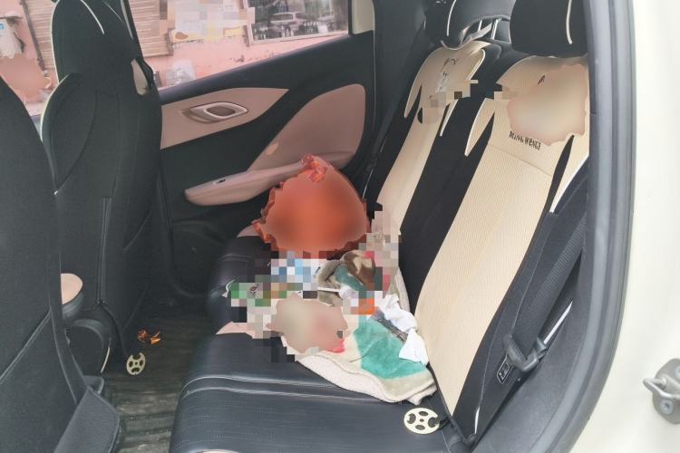 Used BYD Seagull 2023 Flying Edition Left Rear Seat