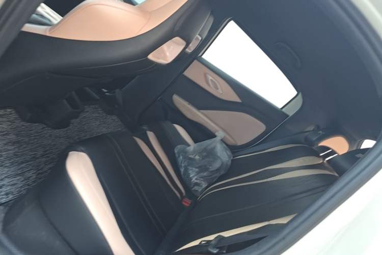 Used BYD Seagull 2023 Free Edition Left Rear Seat