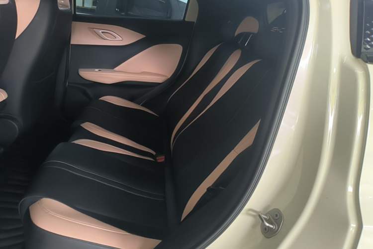 Used BYD Seagull 2023 Flying Edition Left Rear Seat