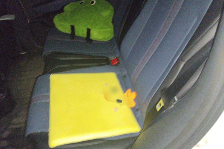 Used BYD Seagull 2023 Free Edition Left Rear Seat