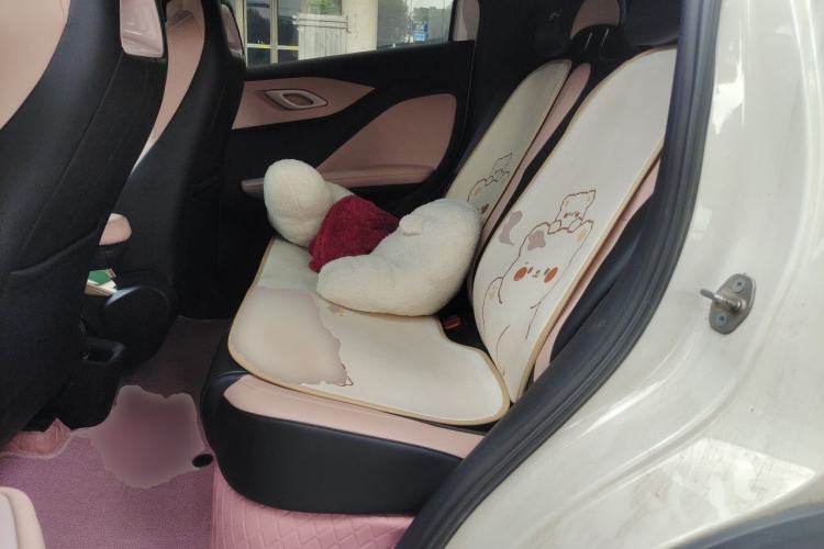 Used BYD Seagull 2023 Free Edition Left Rear Seat