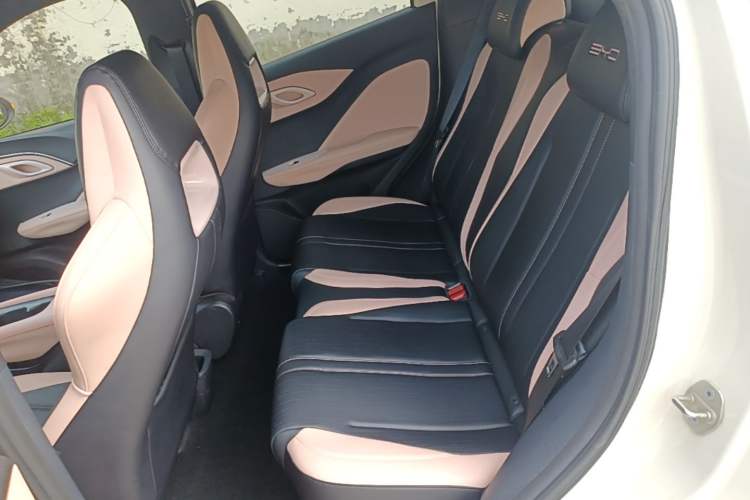 Used BYD Seagull 2023 Free Edition Left Rear Seat