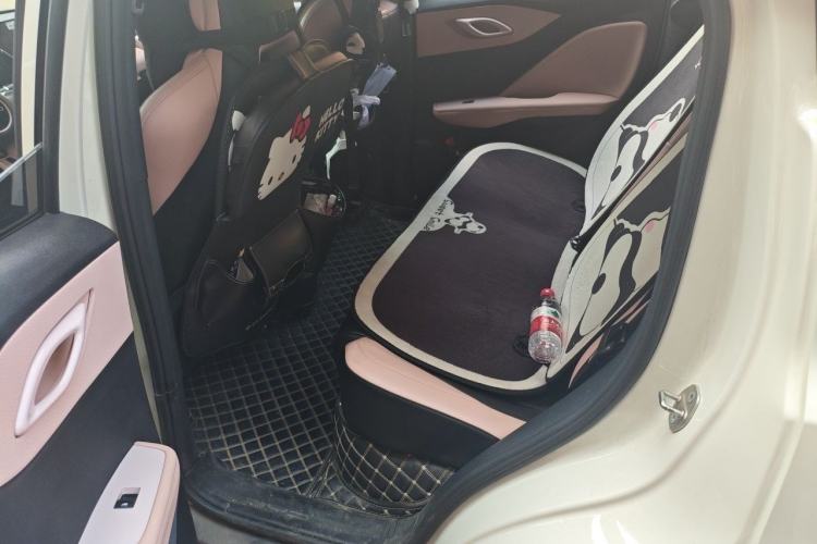 Used BYD Seagull 2023 Free Edition Left Rear Seat