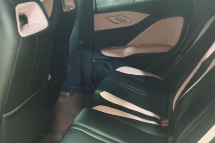 Used BYD Seagull 2023 Free Edition Left Rear Seat
