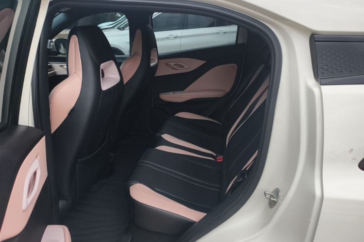 Used BYD Seagull 2023 Flying Edition Left Rear Seat