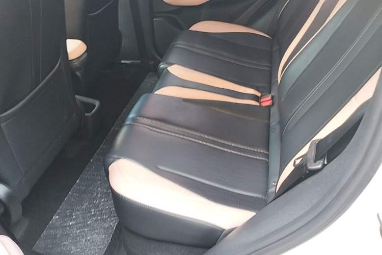 Used BYD Seagull 2023 Free Edition Left Rear Seat
