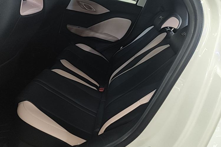 Used BYD Seagull 2023 Flying Edition Left Rear Seat