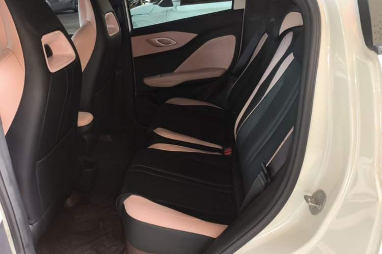 Used BYD Seagull 2023 Active Version Left Rear Seat