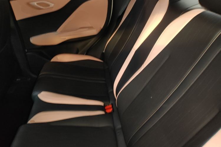 Used BYD Seagull 2023 Free Edition Left Rear Seat