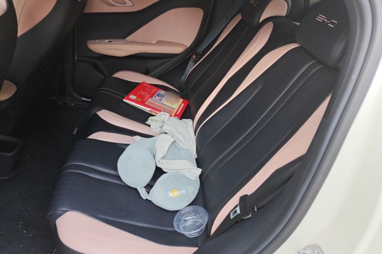 Used BYD Seagull 2023 Flying Edition Left Rear Seat