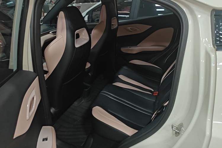 Used BYD Seagull 2023 Free Edition Left Rear Seat