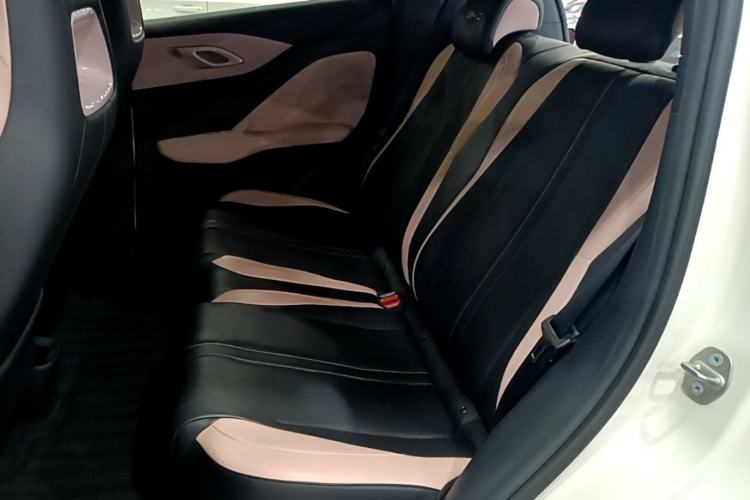 Used BYD Seagull 2023 Flying Edition Left Rear Seat