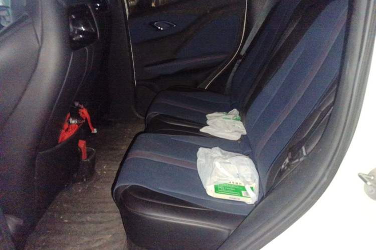 Used BYD Seagull 2023 Active Version Left Rear Seat
