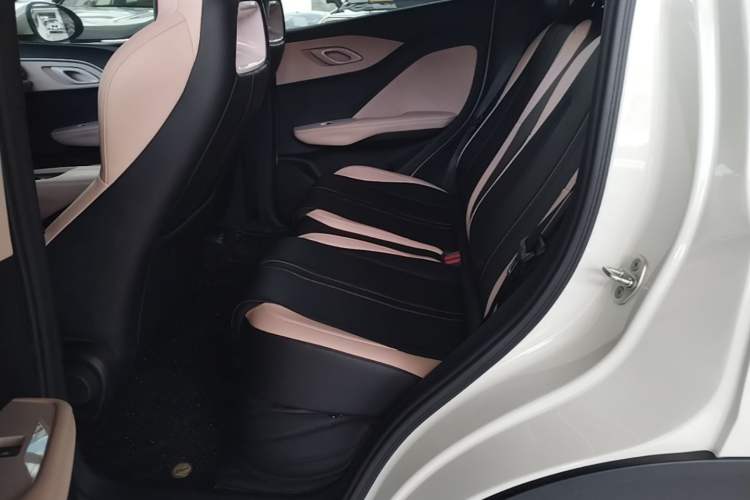 Used BYD Seagull 2023 Free Edition Left Rear Seat