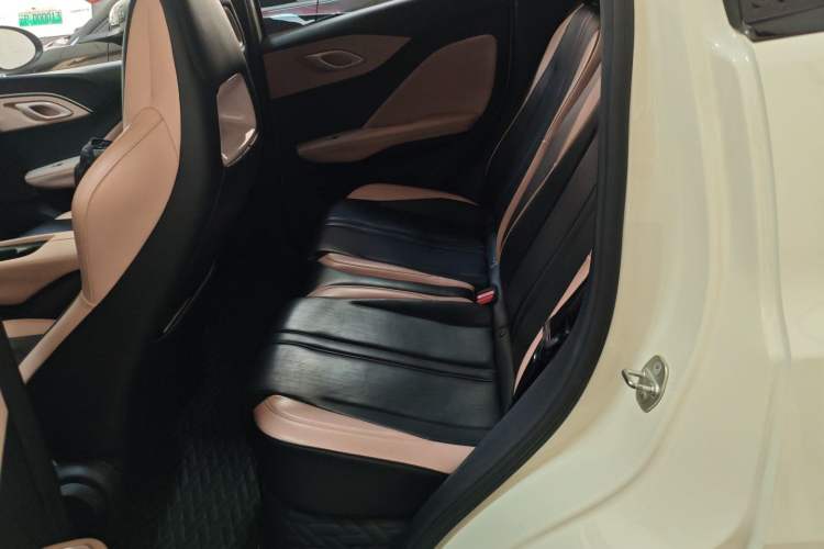 Used BYD Seagull 2023 Free Edition Left Rear Seat