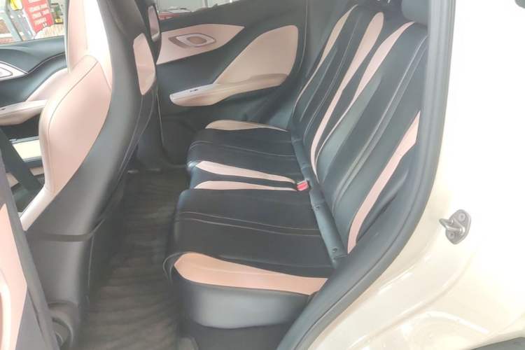 Used BYD Seagull 2023 Active Version Left Rear Seat