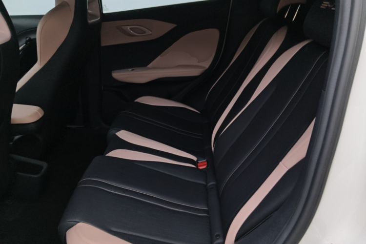 Used BYD Seagull 2023 Free Edition Left Rear Seat
