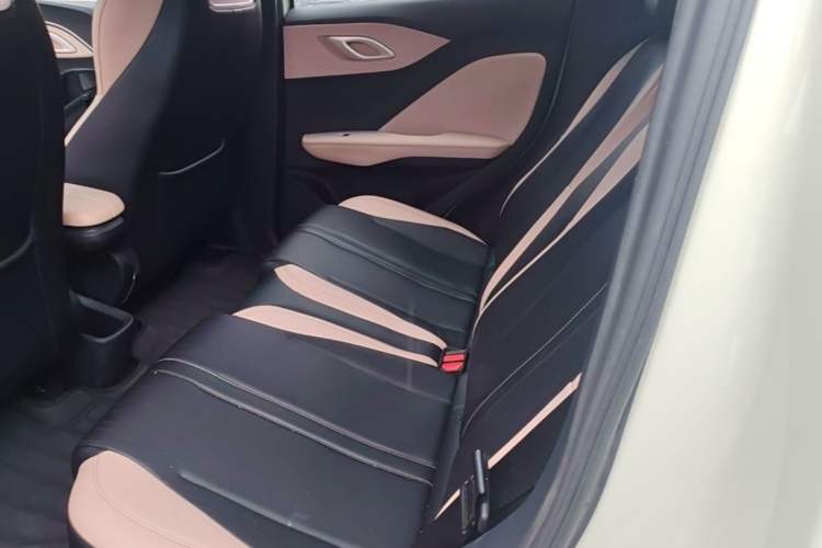 Used BYD Seagull 2023 Flying Edition Left Rear Seat