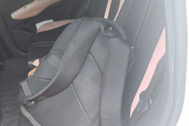 Used BYD Seagull 2023 Free Edition Left Rear Seat