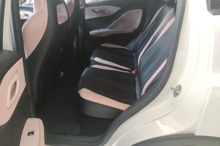 Used BYD Seagull 2023 Free Edition Left Rear Seat