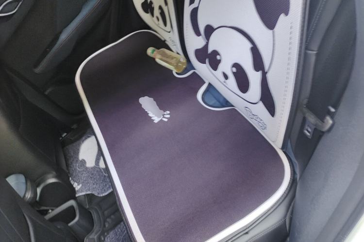Used BYD Seagull 2023 Active Version Left Rear Seat