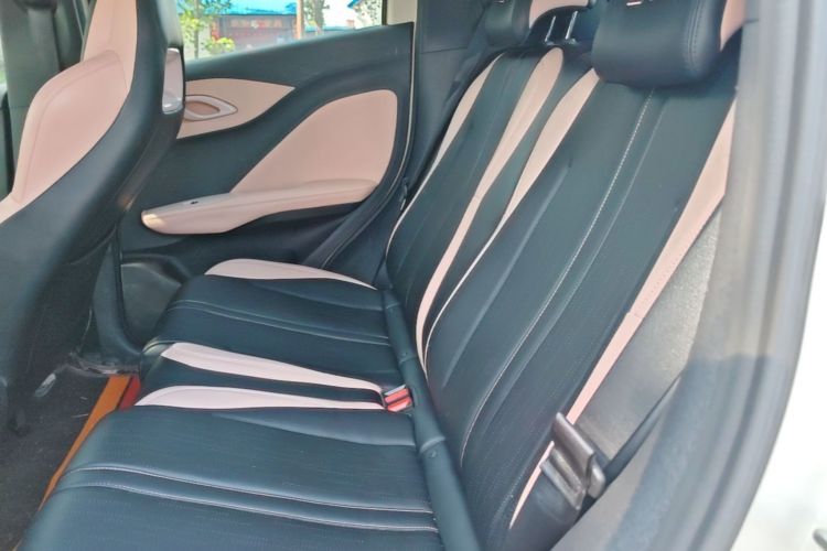 Used BYD Seagull 2023 Free Edition Left Rear Seat