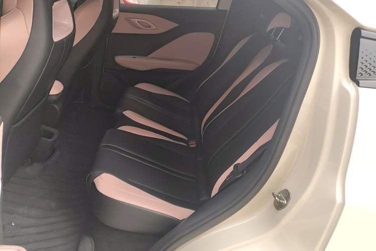 Used BYD Seagull 2023 Free Edition Left Rear Seat