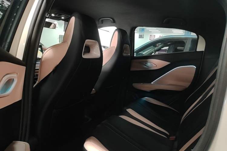 Used BYD Seagull 2023 Flying Edition Left Rear Seat