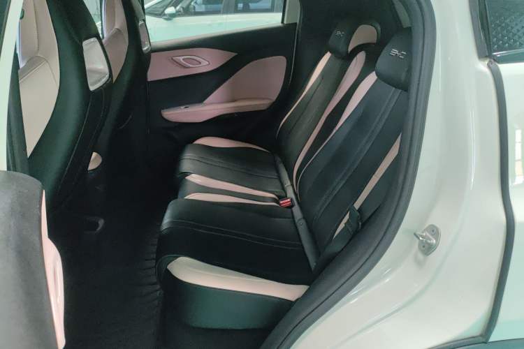 Used BYD Seagull 2023 Free Edition Left Rear Seat
