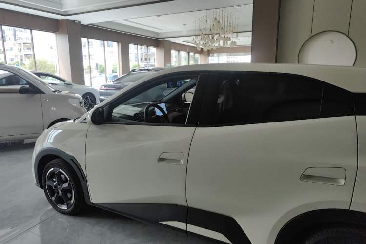 Used BYD Seagull 2023 Free Edition Left Side