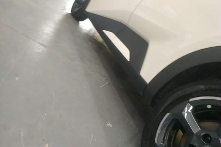 Used BYD Seagull 2023 Flying Edition Left Side Sill