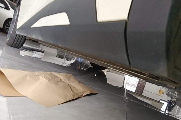 Used BYD Seagull 2023 Flying Edition Left Side Sill