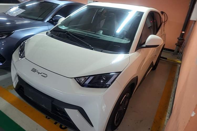 Used BYD Seagull 2023 Free Edition Guazi used car, China used car export, Used car for sale, Used cars, Cheapest cars for sale