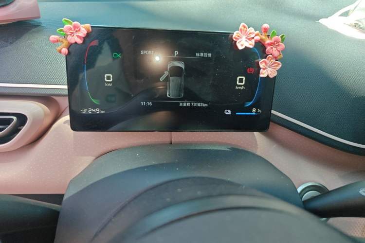 Used BYD Seagull 2023 Active Version Odometer Close Up