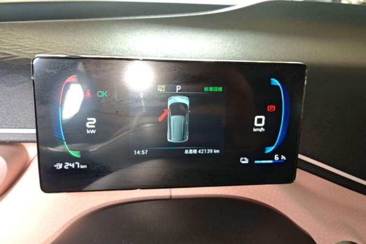 Used BYD Seagull 2023 Flying Edition Odometer Close Up