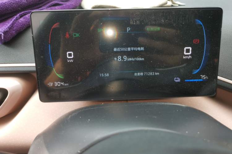 Used BYD Seagull 2023 Flying Edition Odometer Close Up