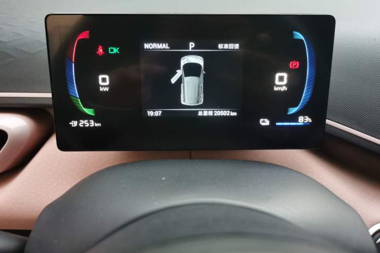Used BYD Seagull 2023 Free Edition Odometer Close Up