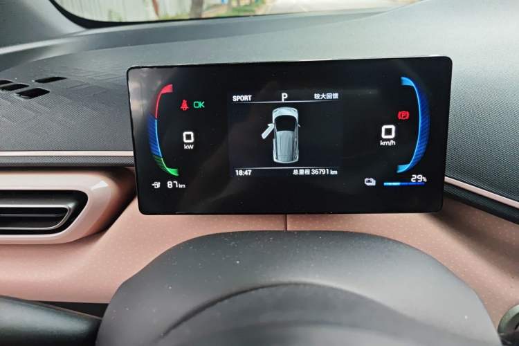 Used BYD Seagull 2023 Free Edition Odometer Close Up