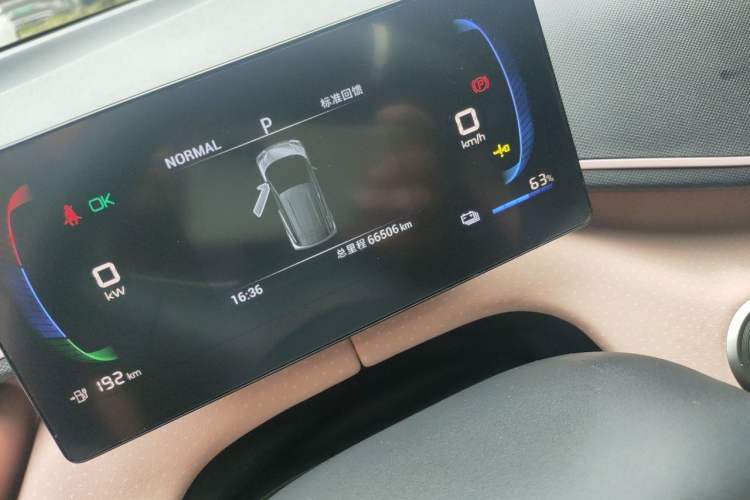 Used BYD Seagull 2023 Active Version Odometer Close Up