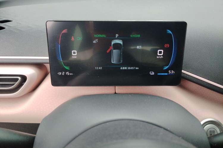 Used BYD Seagull 2023 Flying Edition Odometer Close Up