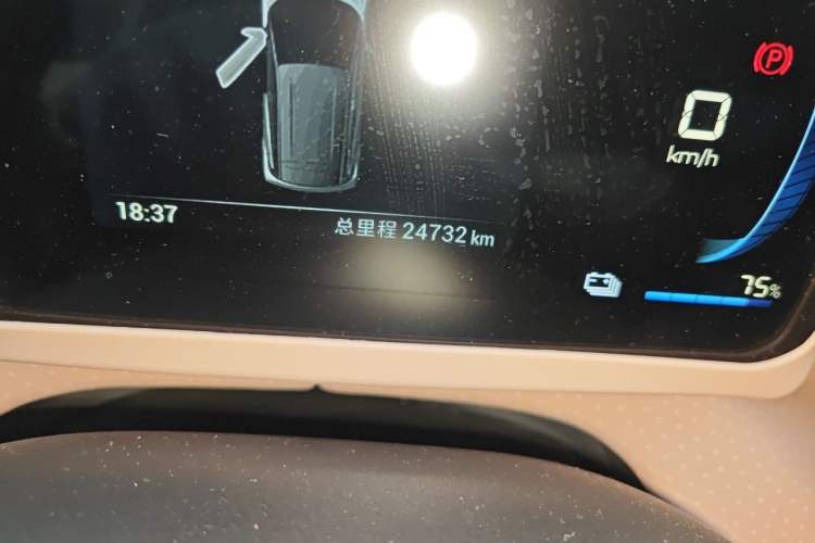 Used BYD Seagull 2023 Free Edition Odometer Close Up